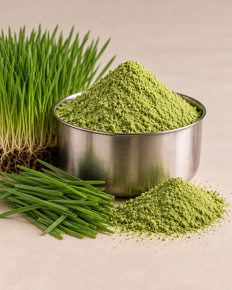 Wheatgrass Powder