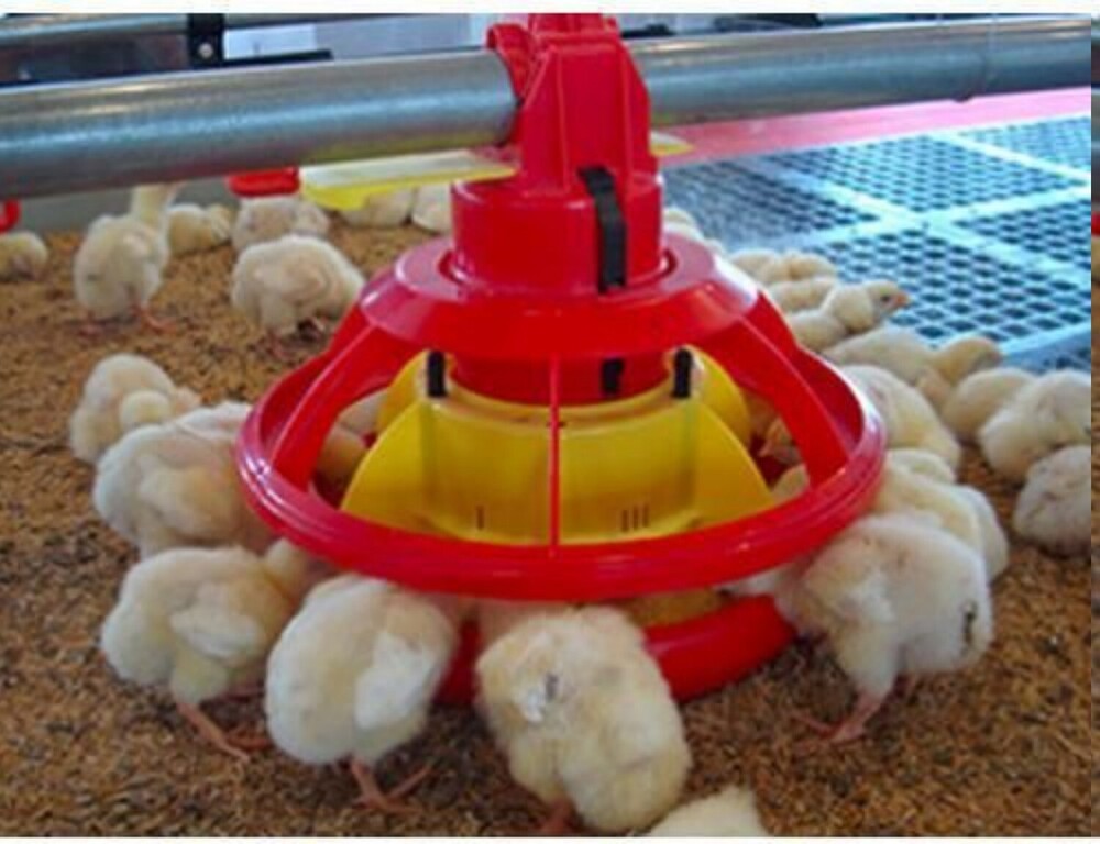 Poultry Feeder