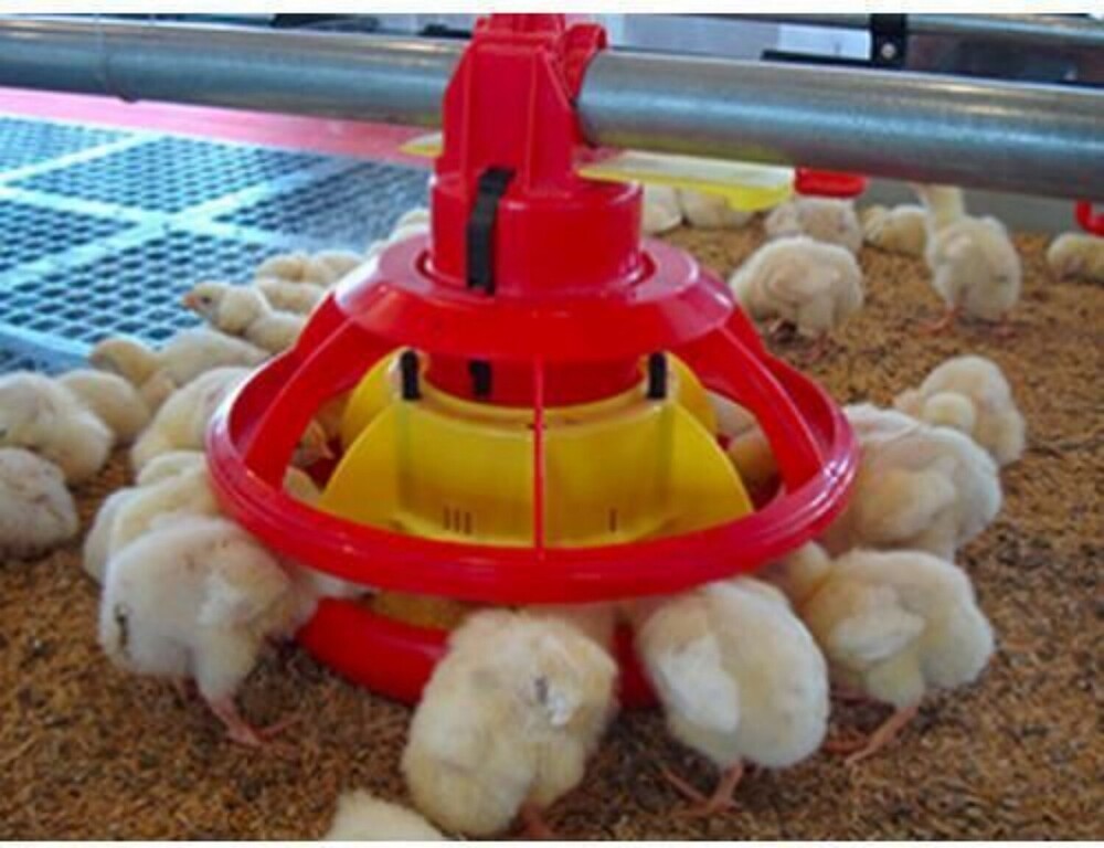 Poultry Feeder - Color: Red