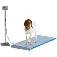 Goat Weighing Scale