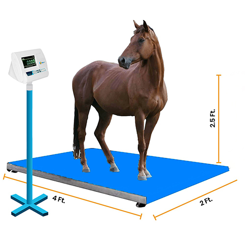 Horse Weighing Scale
