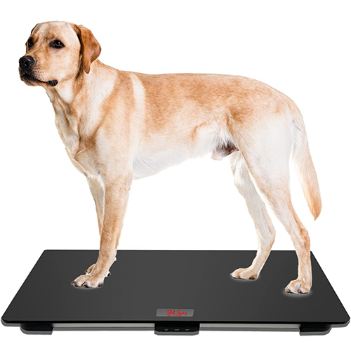 Dog Weighing Scale