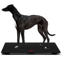 Dog Weighing Scale
