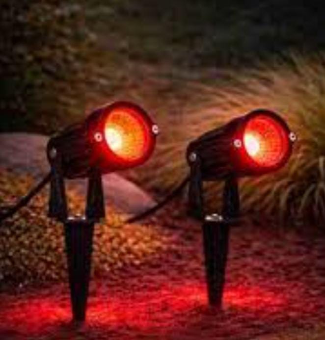 Red Garden Spike Light