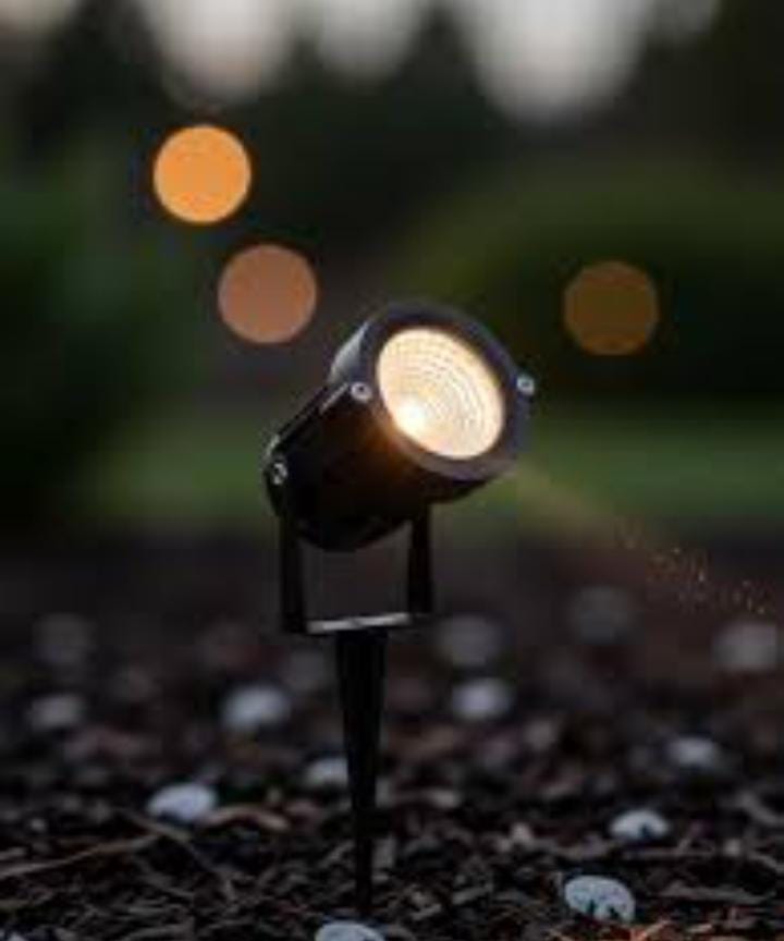 Garden Spike Light