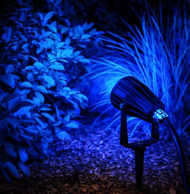 Blue Garden Spike Light