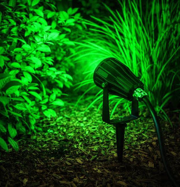 Green Garden Spike Light