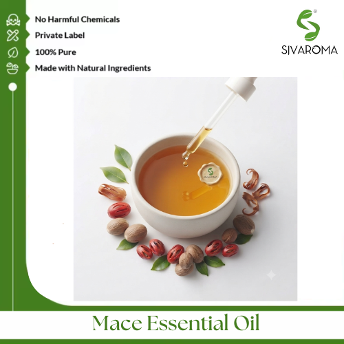Mace Oil - Age Group: All Age Groups