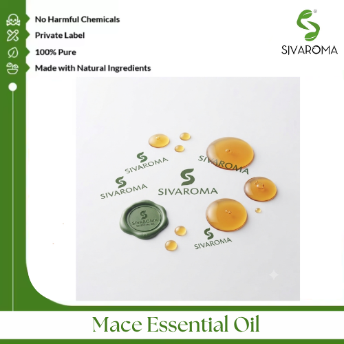 Mace Oil - Age Group: All Age Groups