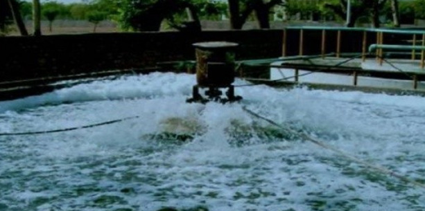 Floating Aerators