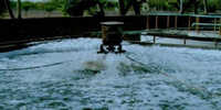 Floating Aerators - Automatic Grade: Semi-automatic/automatic