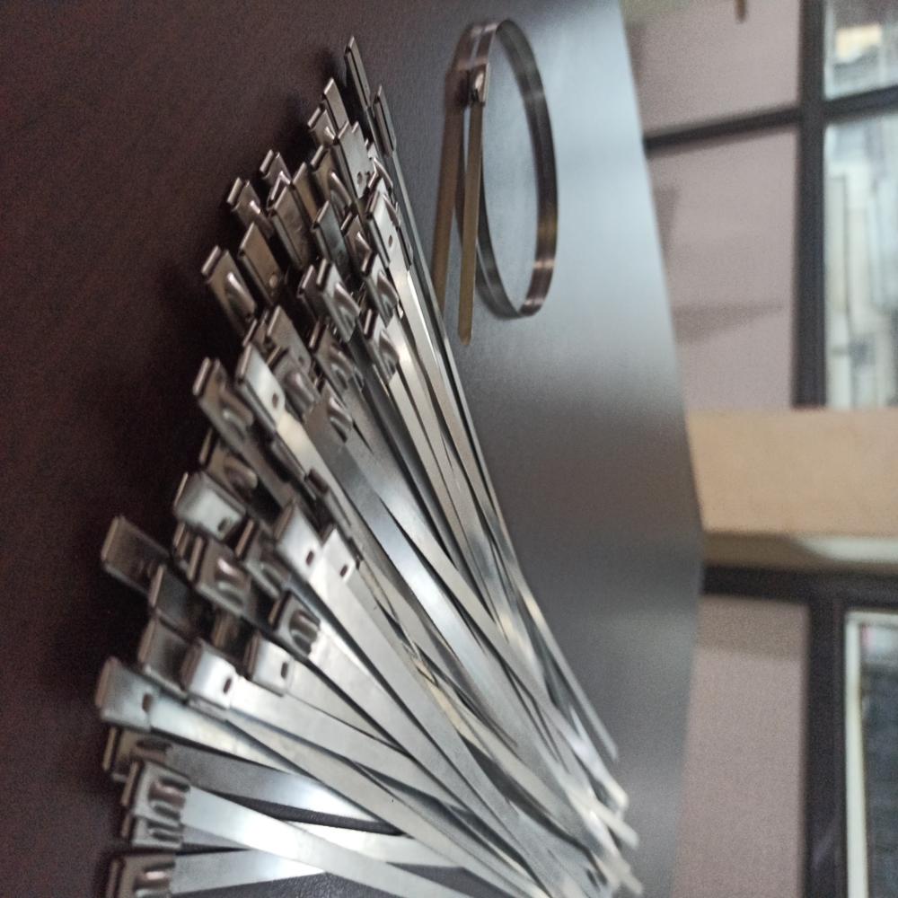 Stainless Steel Cable Ties 300*4.6