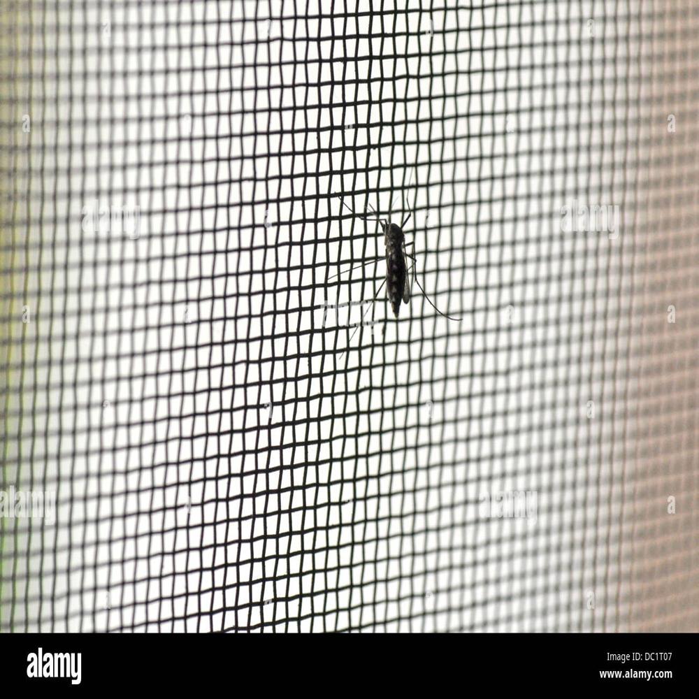 Anti Insect Net - Polyethylene, 1mm X 1mm Mesh Size, White Color | Uv Resistant Greenhouse Insect Barrier For Crop Protection