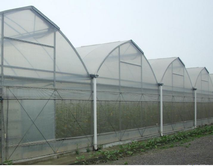Anti Insect Net - Polyethylene, 1mm X 1mm Mesh Size, White Color | Uv Resistant Greenhouse Insect Barrier For Crop Protection