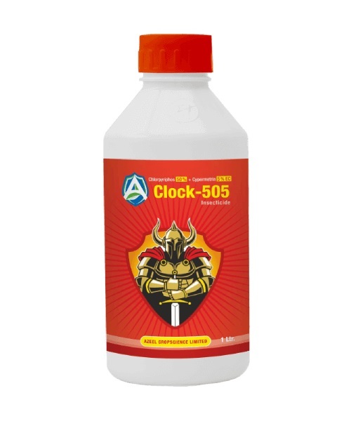 Clock-505 Chlorpyriphos 50% + Cypermethrin 5% Ec Agricultural Insecticides