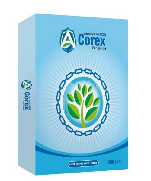 Corex Copper Oxycholride 50% Wp Agricultural Fungicides