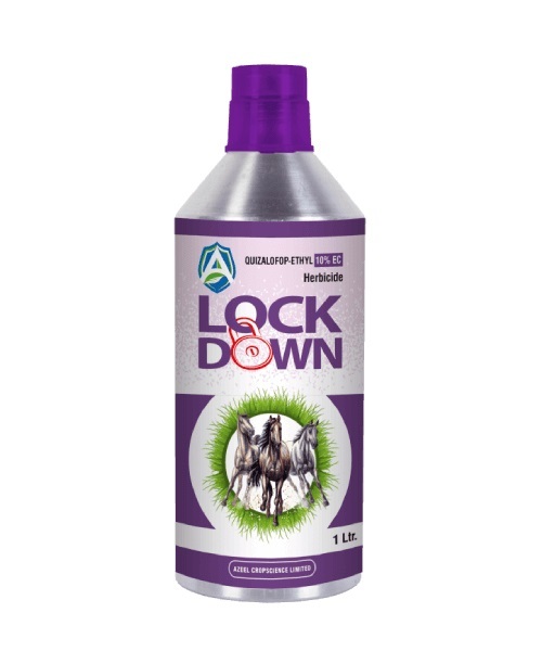Lockdown Quizalofop Ethyl 10% Ec Agricultural Herbicides