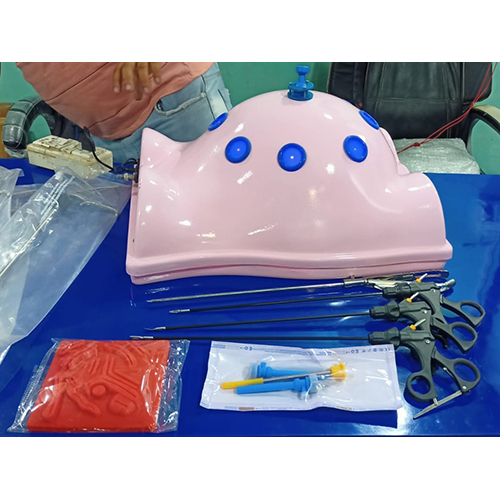 Endo Trainer