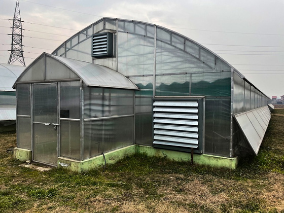 Commercial Mist Chamber Kit