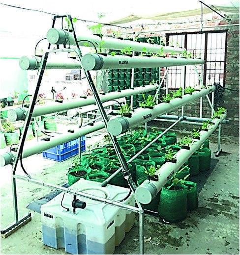 Hydroponic Accessories