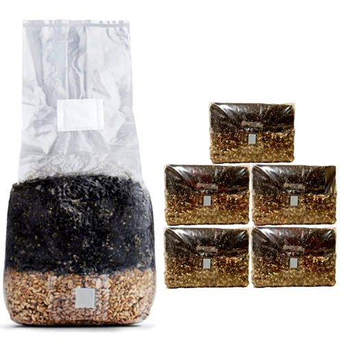 All-In-One Mushroom Grow Bags With Injection Port And Filter Patch