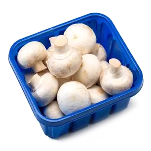 PET Plastic Mushroom Packing Tray
