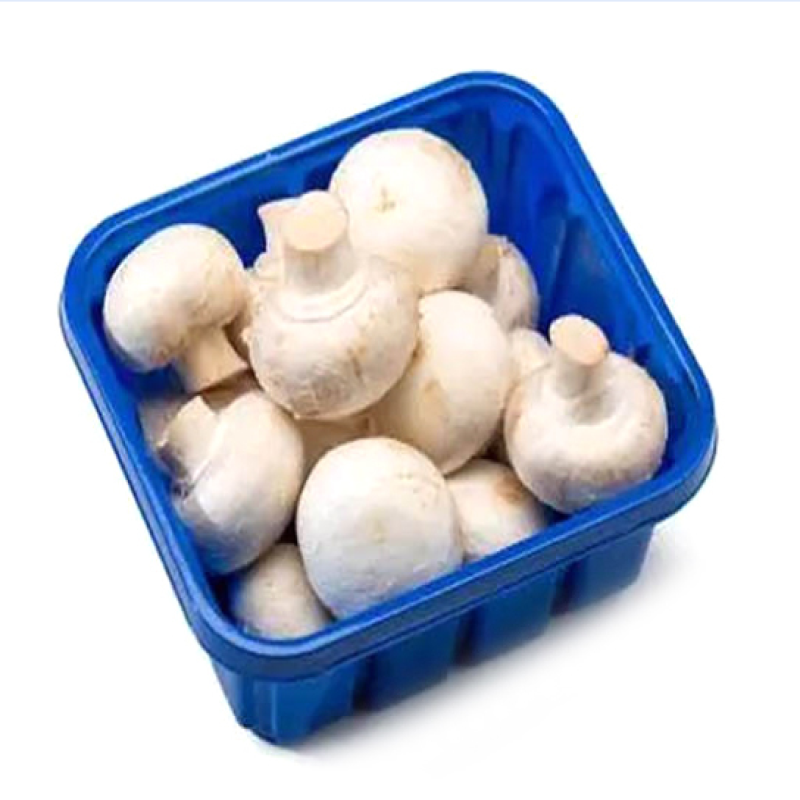 Pet Plastic Mushroom Packing Tray - Color: White/Transparent/Black/Blue