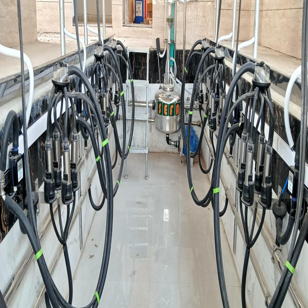 Silver Milking Parlour