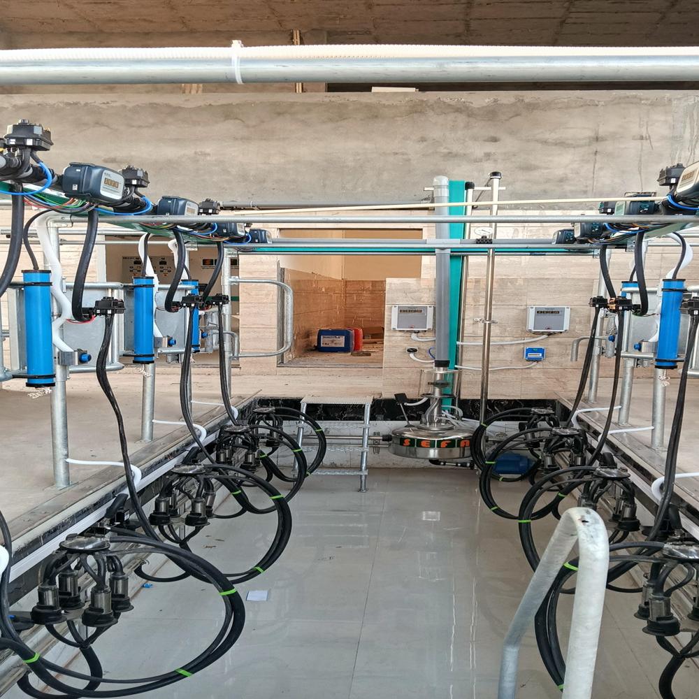 Silver Milking Parlour