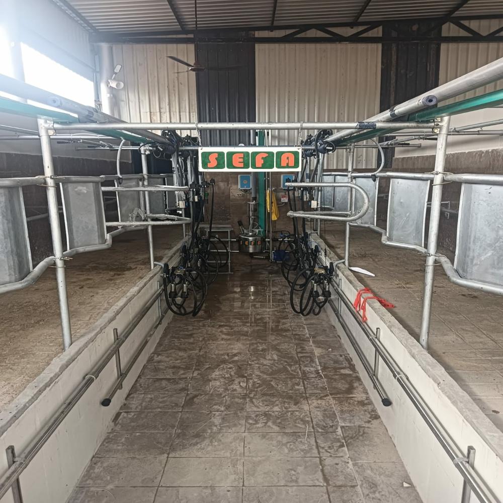 Silver Milking Parlour