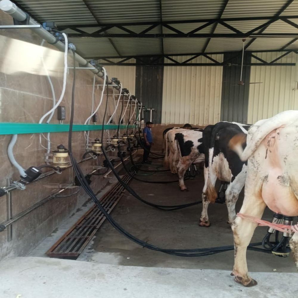 Silver Milking Parlour