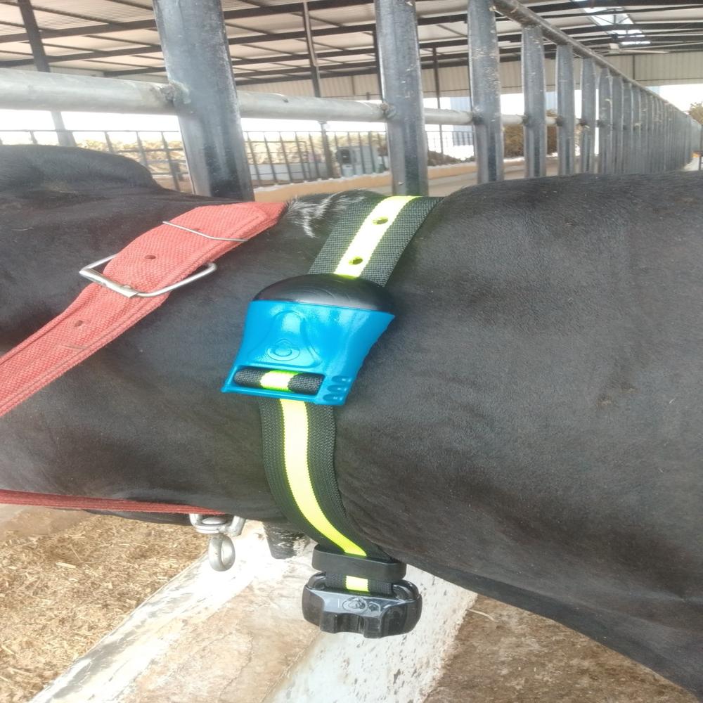 Cow Monitoring software