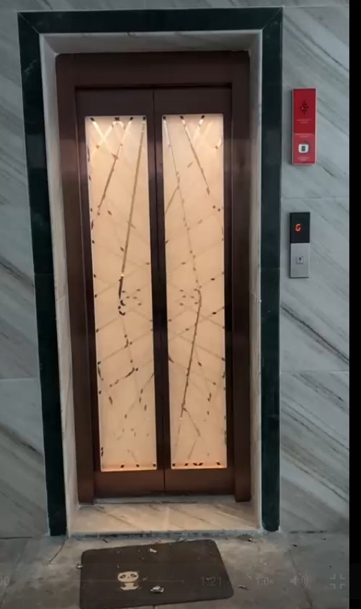 Commercial Passenger Lift
