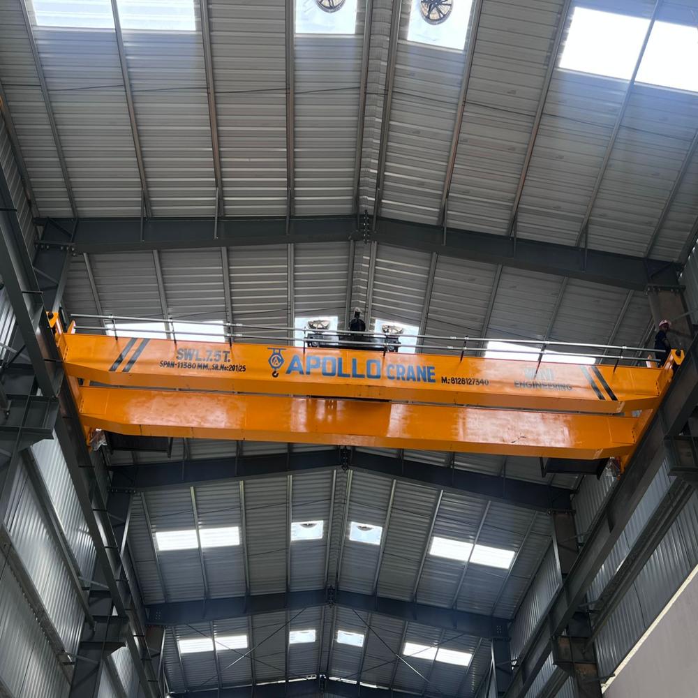Industrial MS Crane