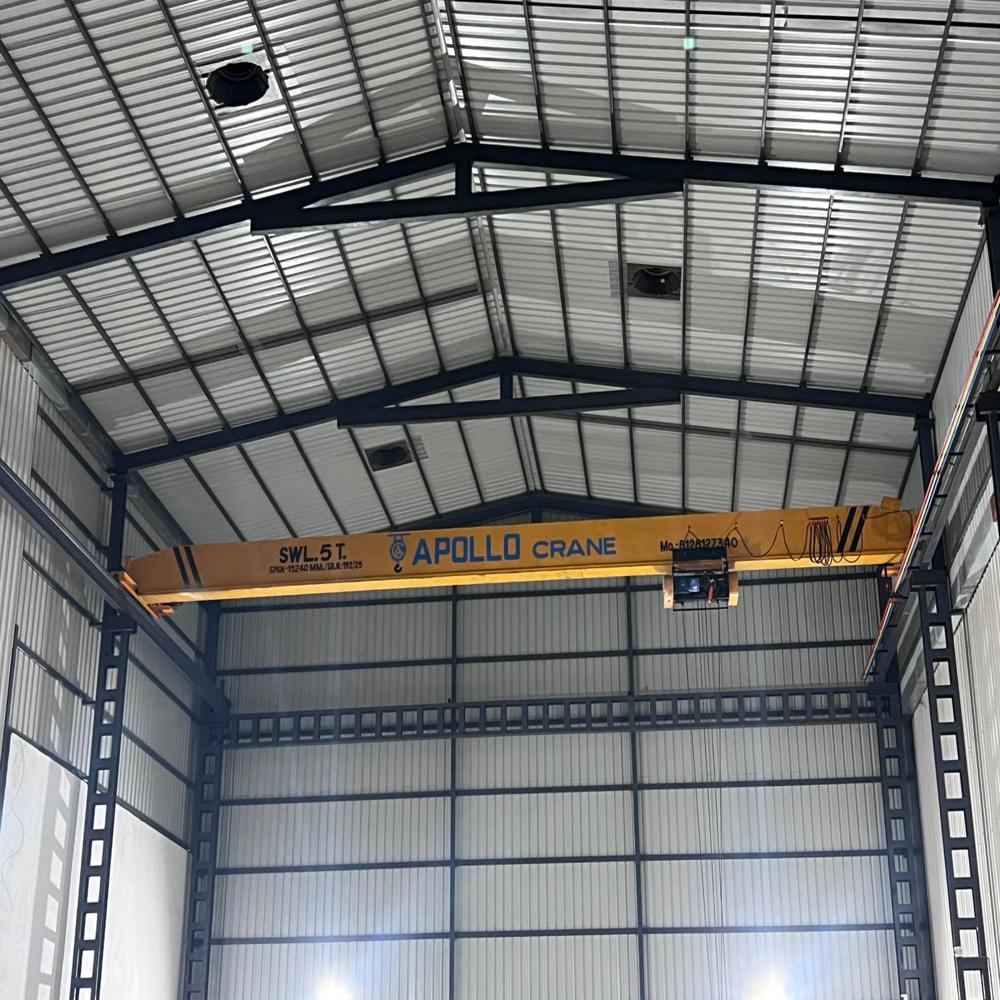 Industrial MS Crane