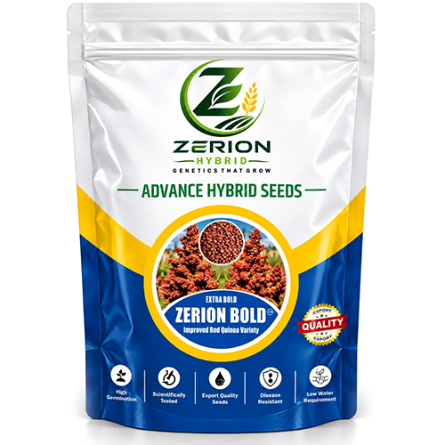 Zerion Bold Hybrid Seeds