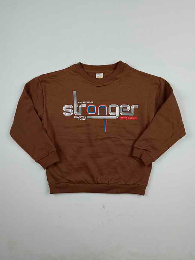 B16754 |Kids Boys Crew Neck Fleece Pullover