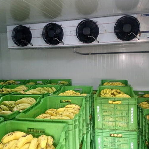 Banana Ripening Storage