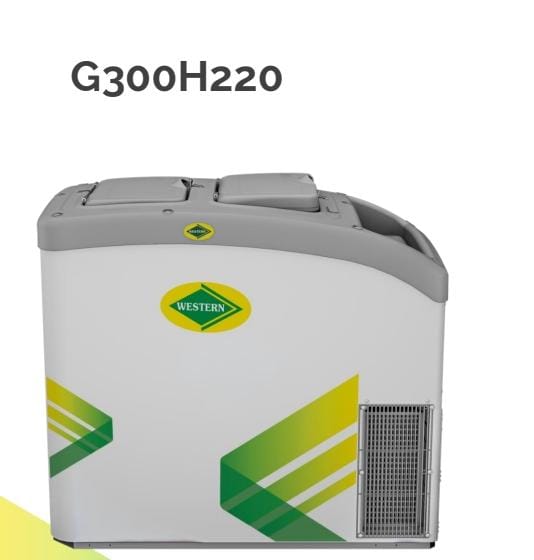 Western Push Cart Glycol Freezer