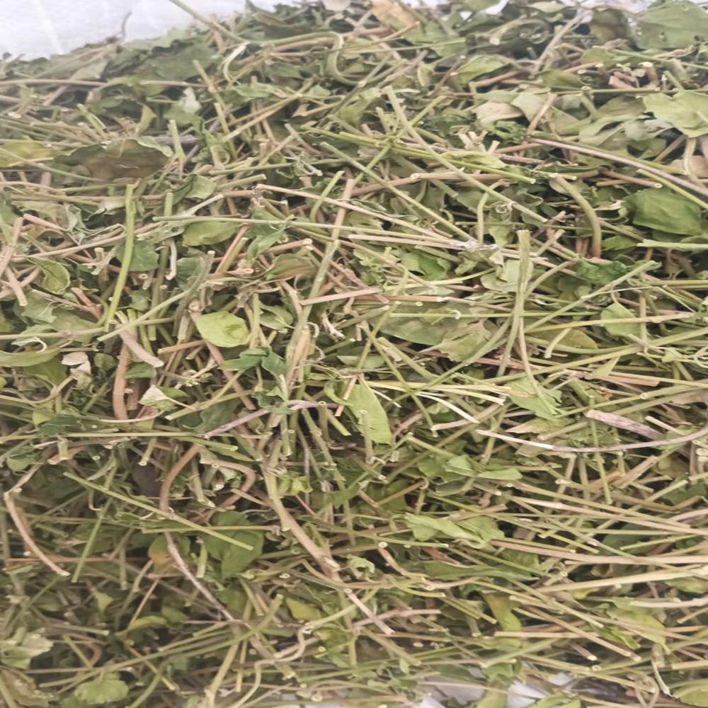 Gurmur  Leaf  with Steam