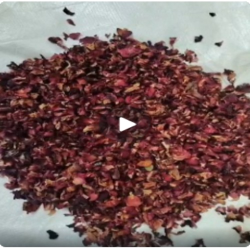 Dried Rose Petals