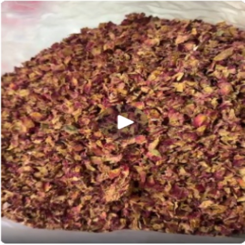 Dried Red Rose Petals