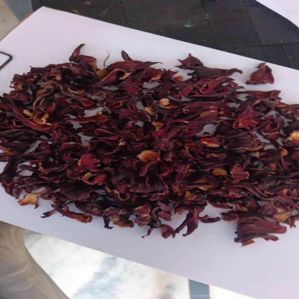 Hibiscus Sabdariffa