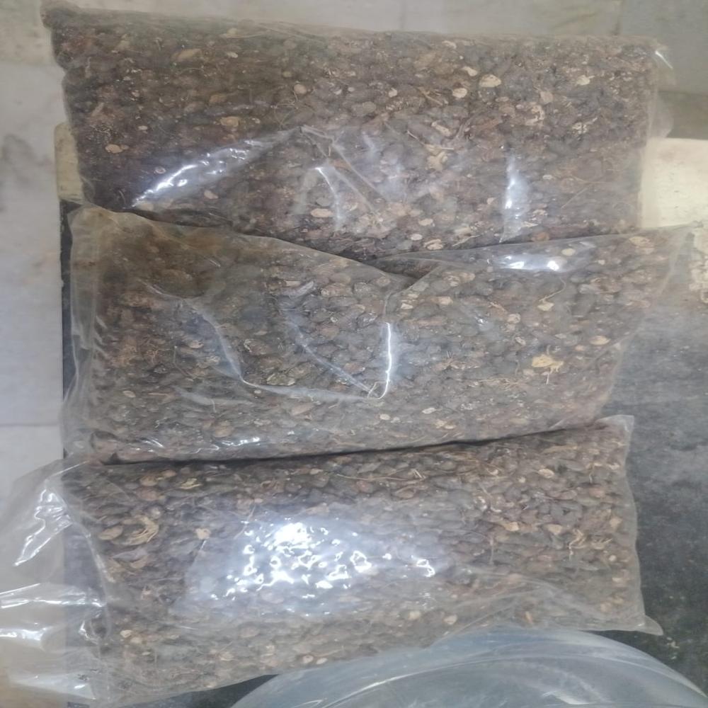 Korai kilanghu
