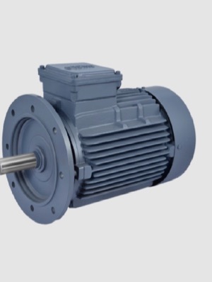 Flame Proof Motors