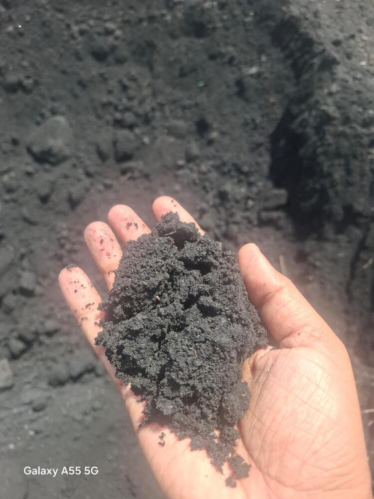 Hard Coke Dust