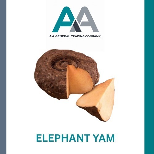 Elephant Yam - Cultivation Type: Organic/conventional