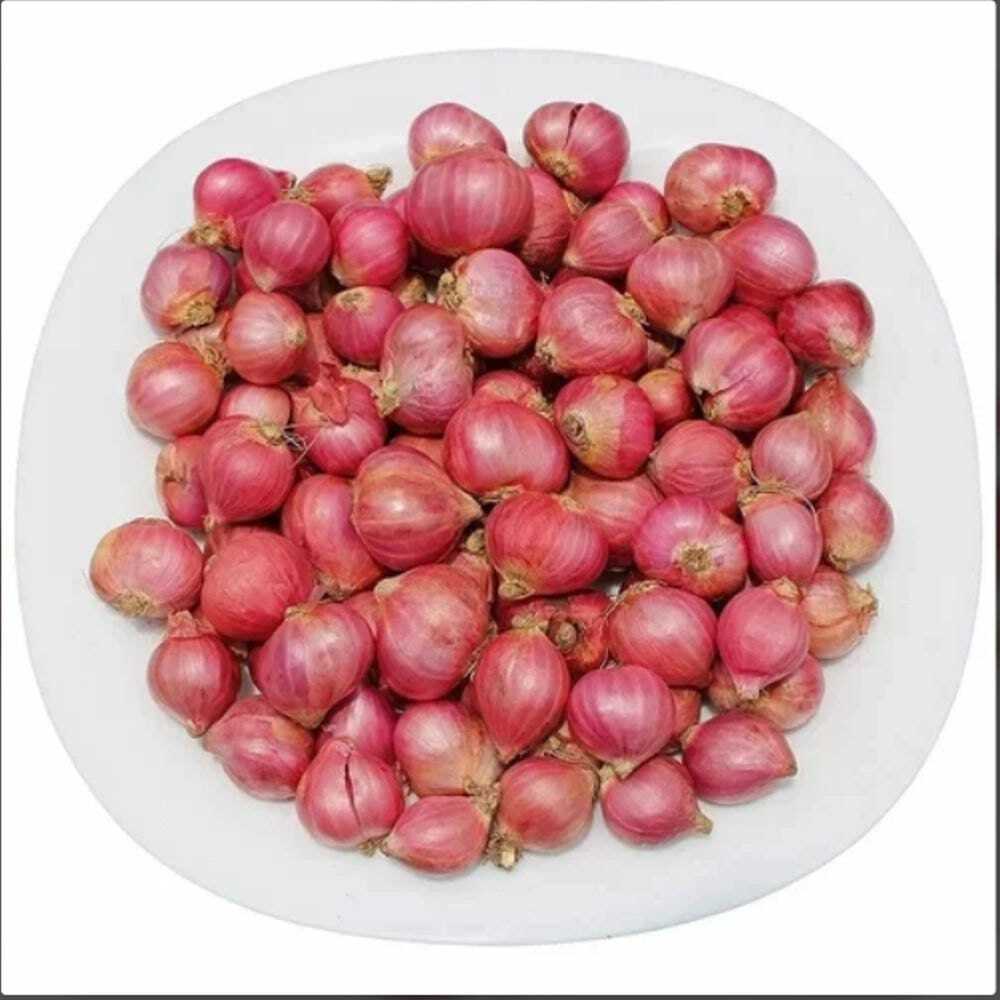 Red Onion