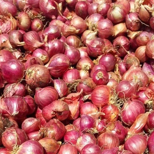 Red Onion
