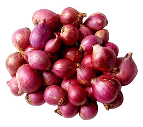 Shallot Onion